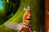 Maya Bee 