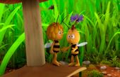 Maya Bee 