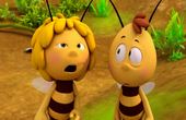 Maya Bee 