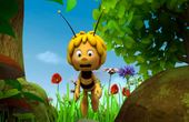 Maya Bee 