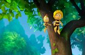 Maya Bee 