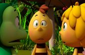 Maya Bee 