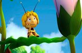 Maya Bee 