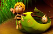 Maya Bee 