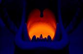 Aladdin 