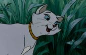 Aristocats 