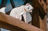 Aristocats 