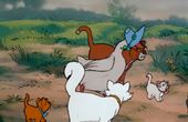 Aristocats 