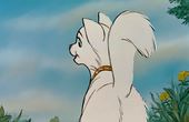 Aristocats 