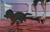 The Aristocats 