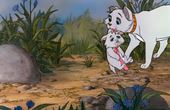 Aristocats 