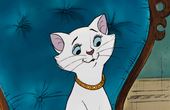 Aristocats 