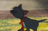 Aristocats 