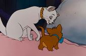 Aristocats 