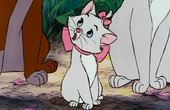 Aristocats 