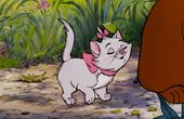 Aristocats 