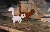 Aristocats 