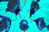 A Bug's Life 