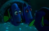 Buscando a Dory 