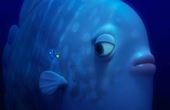 Le monde de Dory 