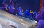 Finding Dory 