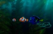 Le monde de Dory 