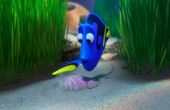 Buscando a Dory 