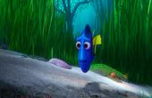 Finding Dory 