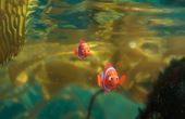 Finding Dory 