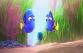 Le monde de Dory 