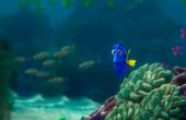 Buscando a Dory 