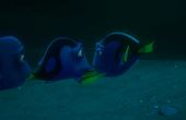 Le monde de Dory 