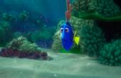 Buscando a Dory 