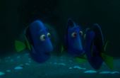 Le monde de Dory 