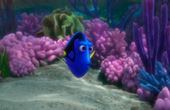 Buscando a Dory 