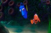 Buscando a Dory 