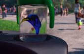 Finding Dory 