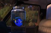 Le monde de Dory 