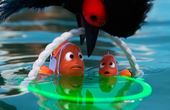 Le monde de Dory 