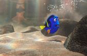 Le monde de Dory 