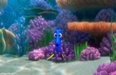 Le monde de Dory 