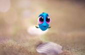 Le monde de Dory 