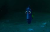 Find Dory 