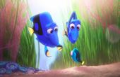 Le monde de Dory 