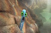 Le monde de Dory 