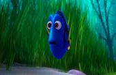 Finding Dory 