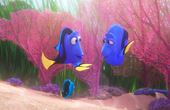 Le monde de Dory 