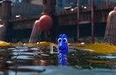 Buscando a Dory 