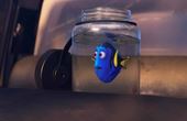 Buscando a Dory 