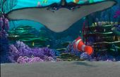 Finding Nemo 